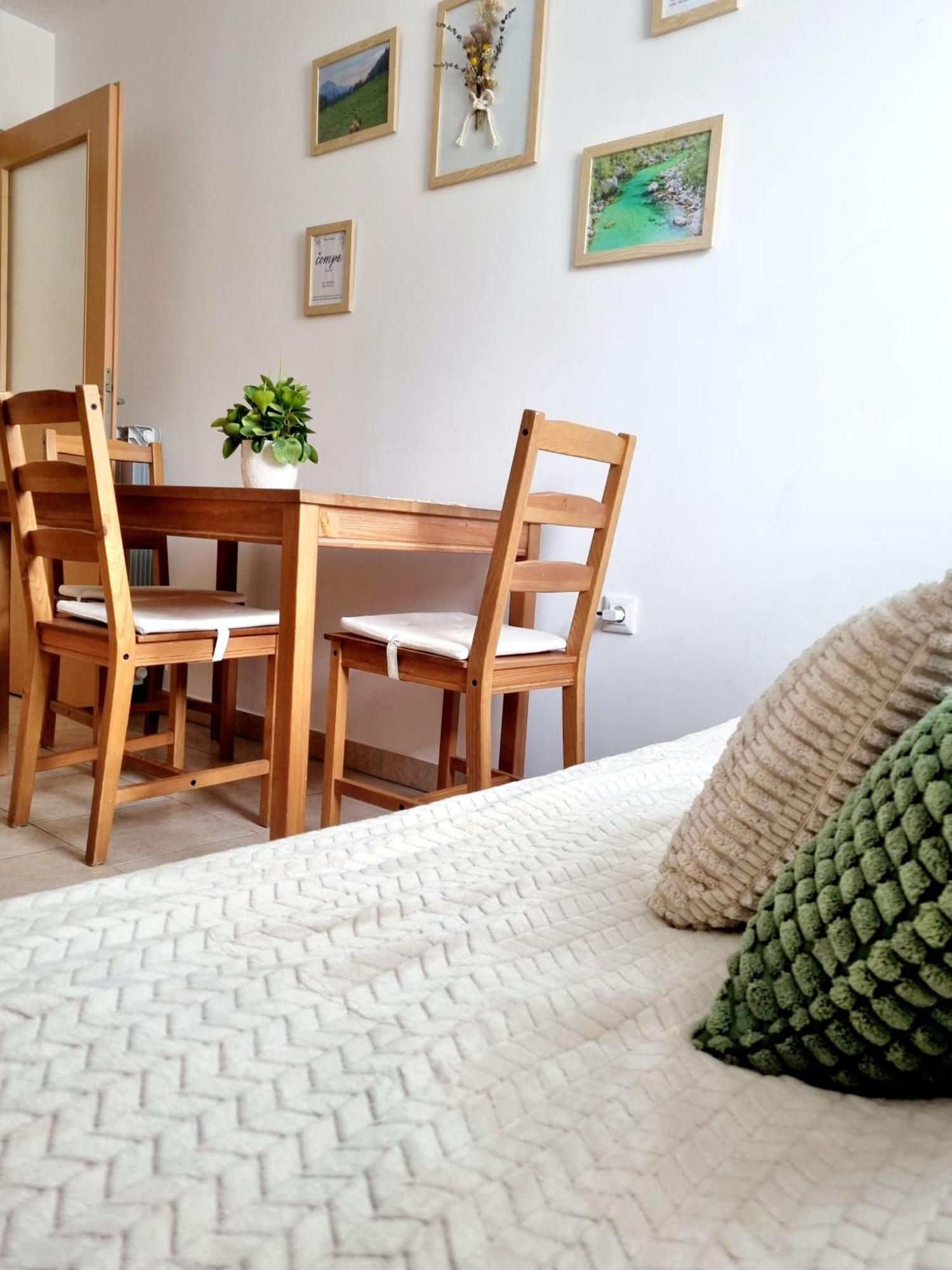 Apartment Apartmaji Pri Ticelnu